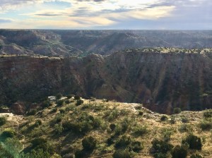 07869023-CCE7-4E0D-9EAC-8F1A2D4DD0B5