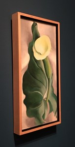 4C279A18-0633-494B-8AD6-E07898480249