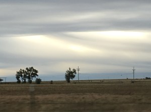 CB36F40C-25FA-49D6-910D-DE44AB71F2E6