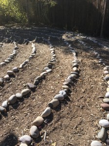 DC3C7927-7AE3-4CF5-9650-BE51BAC388FC