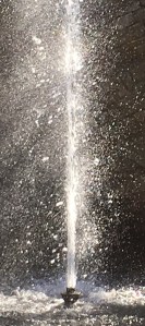 D7780CC8-8564-4C77-9298-4800FDA1756A